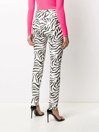 Philipp Plein High-waisted Zebra Print Trousers In White