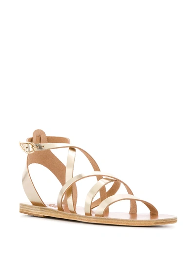 Shop Ancient Greek Sandals Delia Vachetta Sandals In Gold