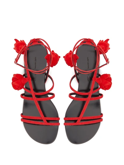 Shop Giuseppe Zanotti Danse Du Feu Strappy Sandals In Red