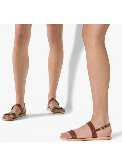 Shop Ancient Greek Sandals Clio Dual Strap Sandals In Brown