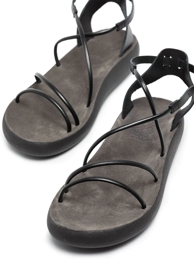 Ancient Greek Sandals Women's Anastasia Comfort Sandal In Black