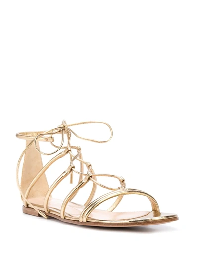 Shop Gianvito Rossi Lace-up Gladiator Sandals In Gold