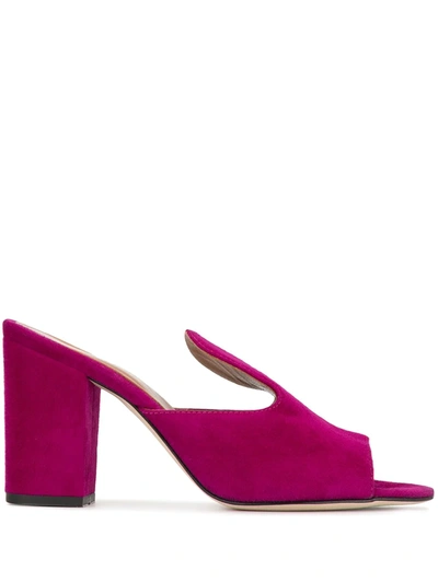 Shop Paris Texas Suede Mules In Purple