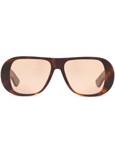 Shop Alexa Chung X Sunglass Hut Curved Frames Sunglasses In Brown