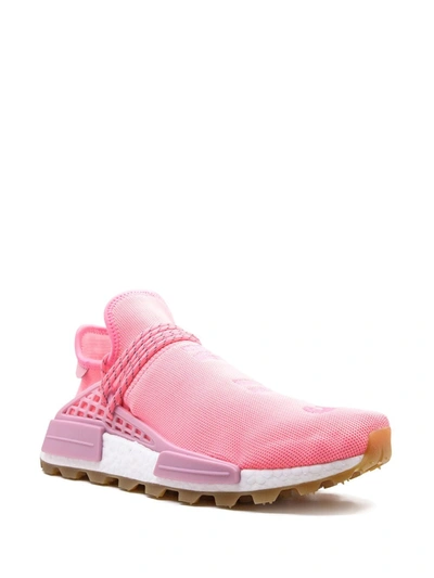 Shop Adidas Originals X Pharrell Williams Hu Nmd Prd "hyper Pop" Sneakers In Pink