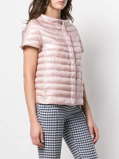 Shop Herno Sleeveless Feather Down Jacket In Pink