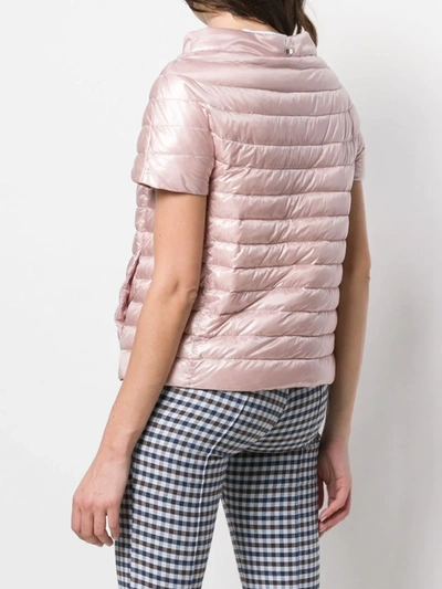 Shop Herno Sleeveless Feather Down Jacket In Pink