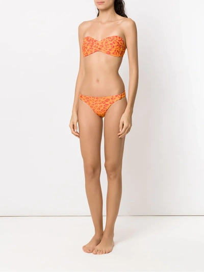 Shop Amir Slama Printed Bandeau Bikini Set In Yellow