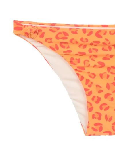 Amir Slama Printed Bandeau Bikini Set In Yellow