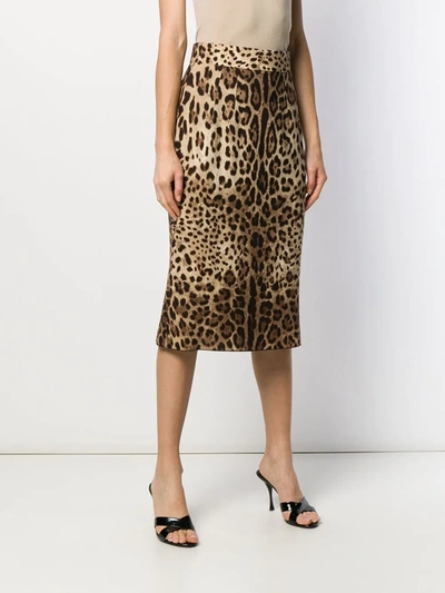 Shop Dolce & Gabbana Leopard-print Pencil Skirt In Neutrals