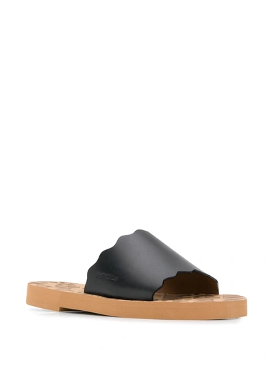 Shop See By Chloé Scalloped Leather Flats In Black