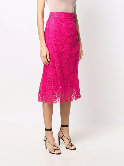 Shop Dolce & Gabbana Lace-panelled Pencil Skirt In Rosa