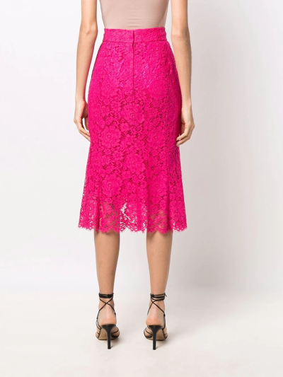 Shop Dolce & Gabbana Lace-panelled Pencil Skirt In Rosa