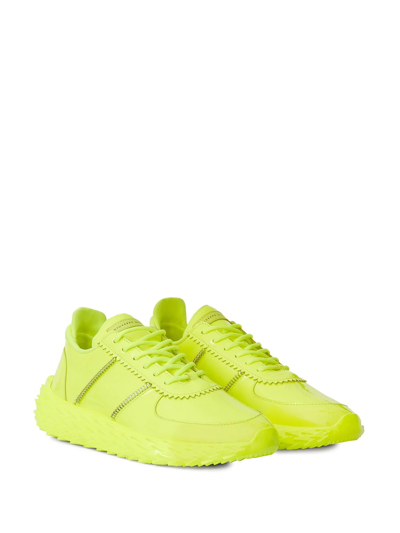 Shop Giuseppe Zanotti Urchin Low-top Sneakers In Yellow
