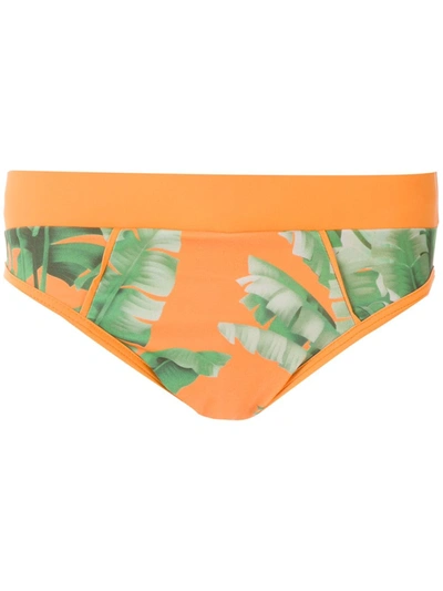 Shop Amir Slama Printed Trunks In Orange