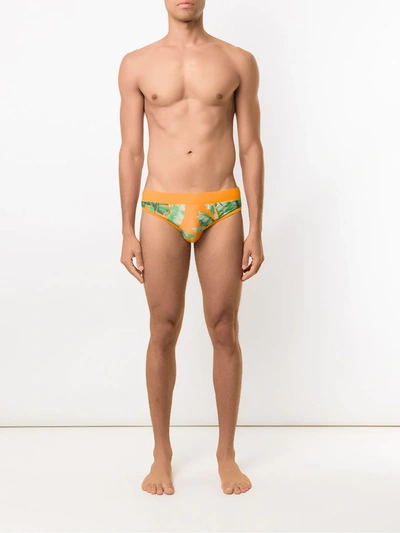 Shop Amir Slama Printed Trunks In Orange