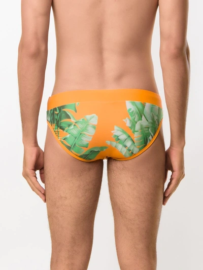 Shop Amir Slama Printed Trunks In Orange