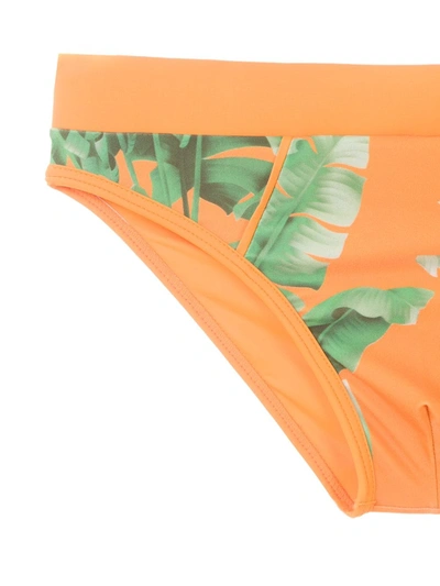 Shop Amir Slama Printed Trunks In Orange