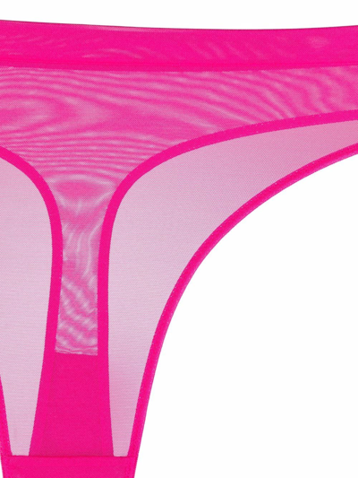 Shop Maison Close Hot Pink Thong In 粉色