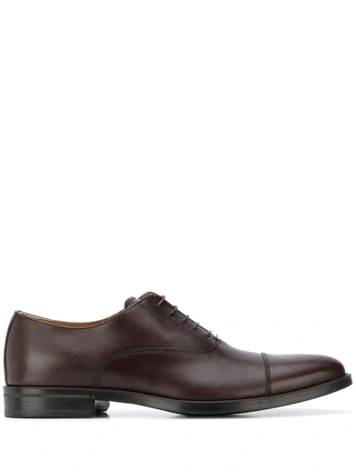 Shop Scarosso Oxford Shoes In Brown