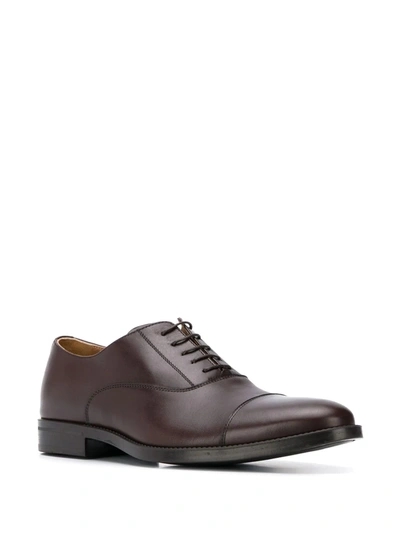 Scarosso Oxford Shoes In Brown