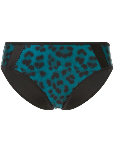 Shop Duskii Océane Brief Bottoms In Blue