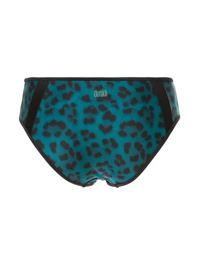 Shop Duskii Océane Brief Bottoms In Blue