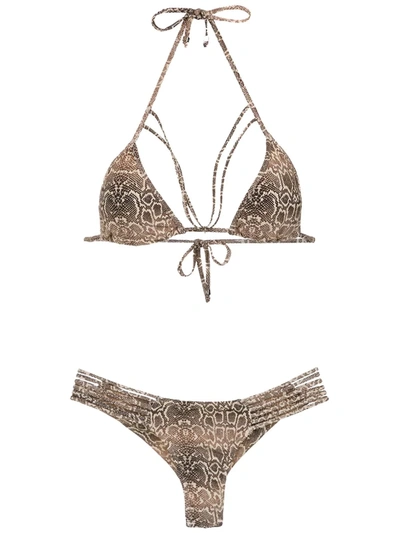 Shop Amir Slama Printed Triangle Top Bikini Set In Brown