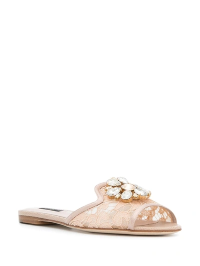 Dolce & Gabbana Bianca Lace Slides In Neutral