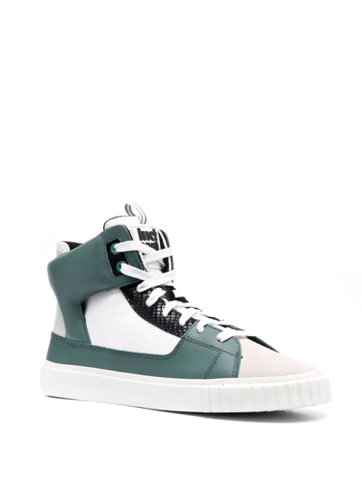 Shop Just Cavalli Leather Logo Hi-top Trainers In Green