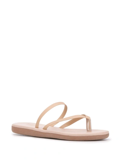 Ancient Greek Sandals Flip Flop Leather Thong Sandals In Neutrals