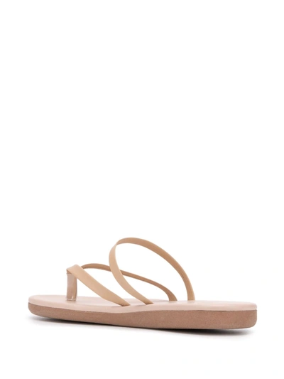 Ancient Greek Sandals Flip Flop Leather Thong Sandals In Neutrals