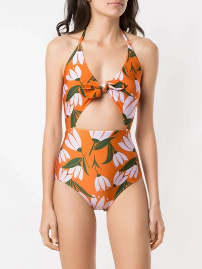 Shop Adriana Degreas Tie Knot Swimsuit In Multicolour