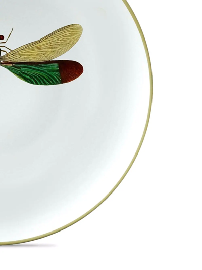 Shop Les-ottomans Insetti Porcelain Plate (21cm) In Multicolour