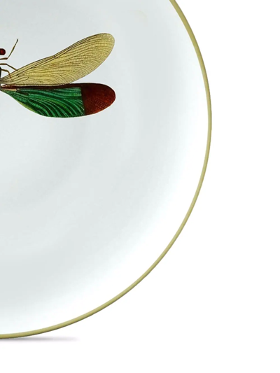 Les-ottomans Insetti Collection Handpainted Plate In Multicolour