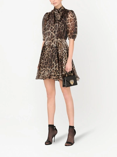 Dolce & Gabbana Leopard-print Pussybow Dress In Brown