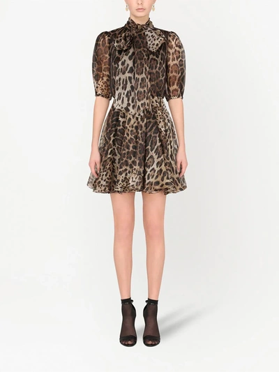 Dolce & Gabbana Leopard-print Pussybow Dress In Brown