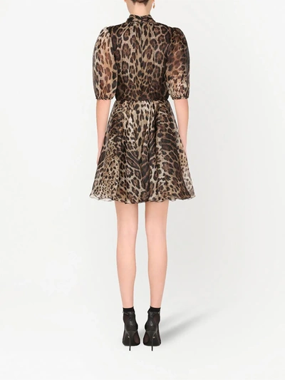 Shop Dolce & Gabbana Leopard-print Organza Minidress In Brown