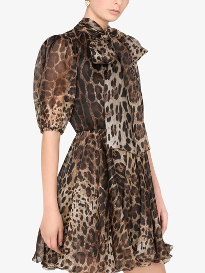 Dolce & Gabbana Leopard-print Pussybow Dress In Brown