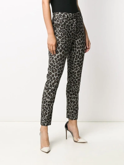 Shop Versace Leopard Print Tailored Trousers In White