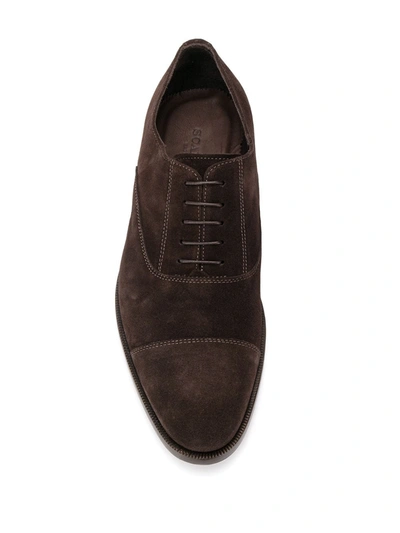 Shop Scarosso Bacco Lace-up Oxford Shoes In Brown