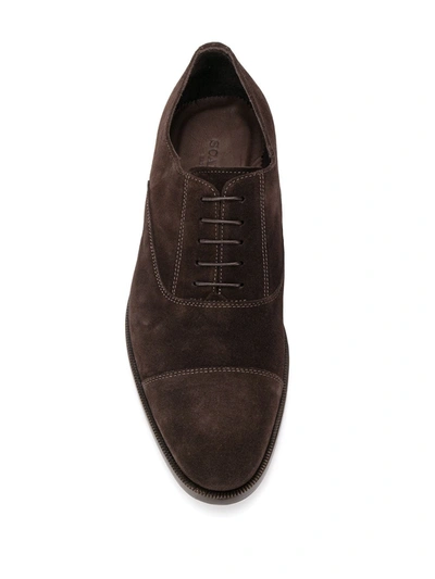 Scarosso Bacco Lace-up Oxford Shoes In Brown