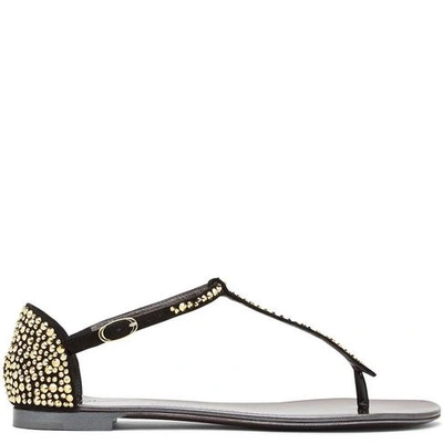 Shop Giuseppe Zanotti - Black Suede Glat With Gold Crystals Gaia
