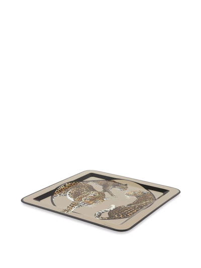 Dolce & Gabbana Leopard-print Wooden Large Tray In Braun
