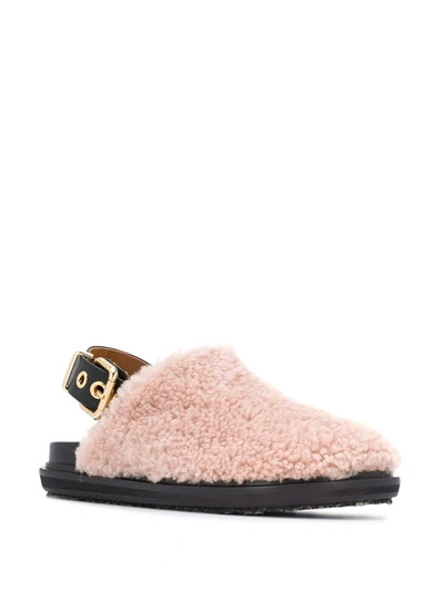 Shop Marni Fussbet Buckled Mules In Pink