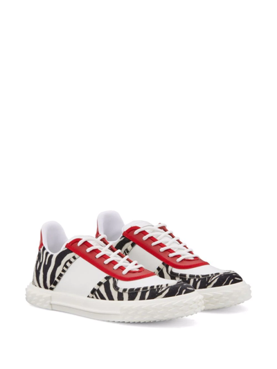 Shop Giuseppe Zanotti Blabber Zebra-pattern Sneakers In White
