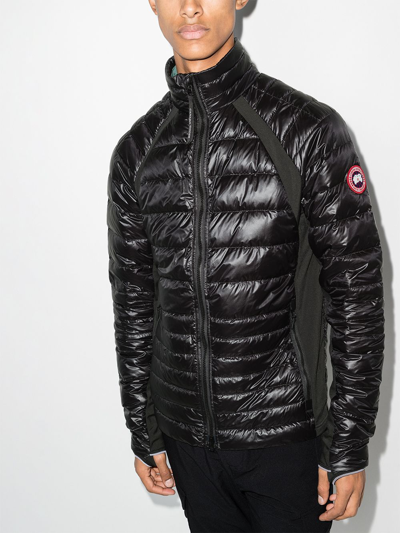 Shop Canada Goose Hybridge Padded Jacket In Schwarz