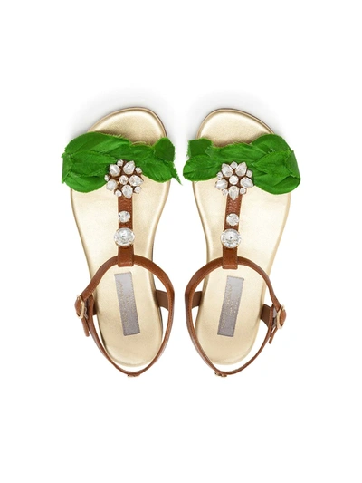 Shop Dolce & Gabbana Leaf Crystal Embellished Sandals In Brown