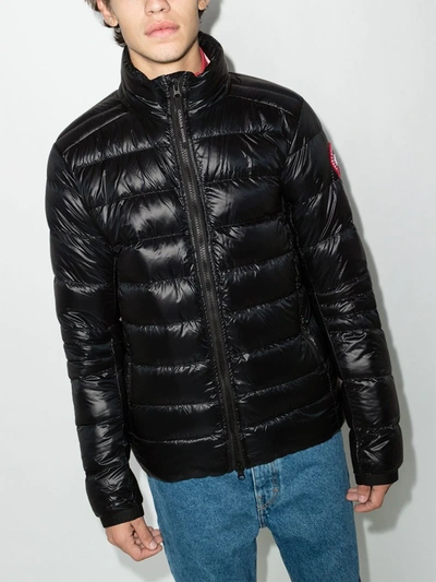 Shop Canada Goose Crofton Padded Jacket In Black