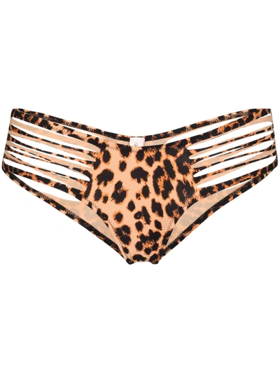 Shop Agent Provocateur Dakotta Leopard Print Bikini Bottoms In Brown